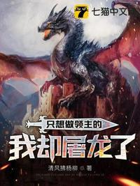 只想做领主的我却屠龙了介绍