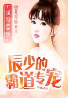 辰少宠妻入骨完整版