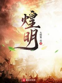 煌明美发工具怎么样很贵吗