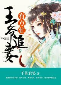 王爷追妻