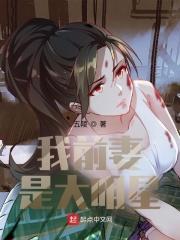 我前妻是大明星百度