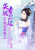 女佣兵穿越2笑看风云起TXT