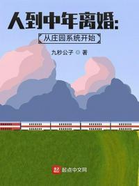 人到中年离婚有系统的