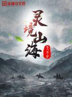 万灵山海之境加点