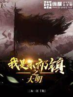 大明之我朱祁镇免费阅读