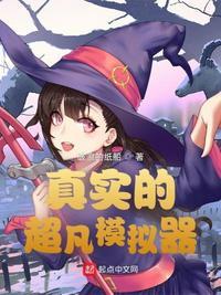 超任模拟器中文版