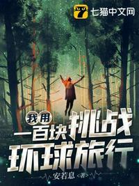 我用一百块挑战环球旅行TXT