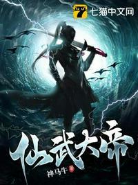 仙武大帝杨凡不败王座