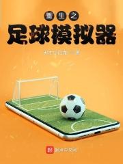 模拟足球游戏