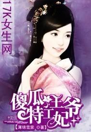 傻瓜王爷杀手妃