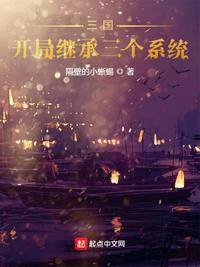 三国开局继承