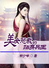 美女总裁的贴身兵王叶轩许静