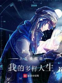 人生模拟器中式人生