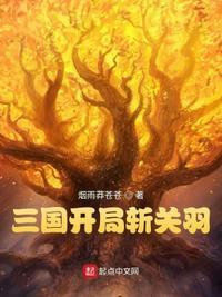 三国开局从砍了华雄开始