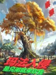 法师传奇3玛法入侵TXT免费