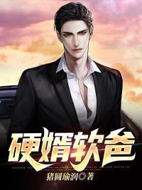 硬婿软爸全文免费阅读