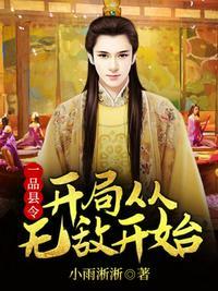 一品县令开局从无敌开始小雨淅淅