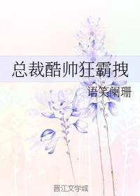 总裁酷帅狂霸拽3对cp