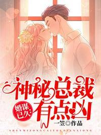 神秘总裁太给力