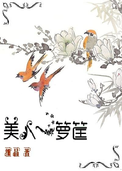 美人一箩筐大结局