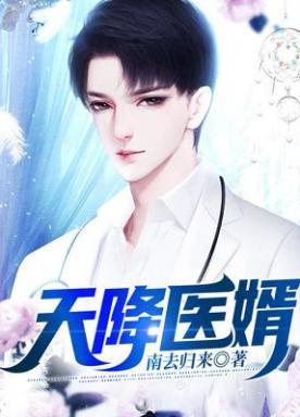天降医婿TXT