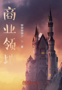 商业领域