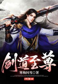 武侠之剑道至尊