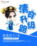 清穿升级路蓝莲君子格格党