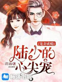 陆少的心尖宠妻第一季