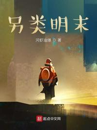 另类明末 赵涛 顶点