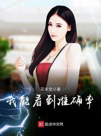 我能看到准确率全文免费阅读