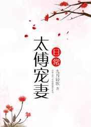 太傅宠妻日常TXT