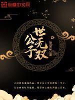 公子世无双书的内容