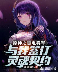 原神雷电将军的