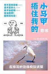 裹紧我的小马甲讲的什么故事
