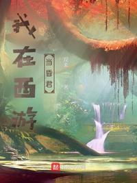 我在西游做任务