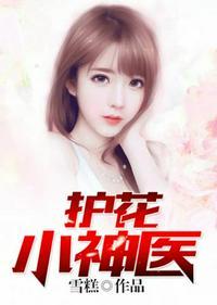 护花小神医电视剧免费观看