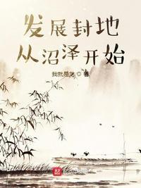 发展封地从沼泽开始我就是龙
