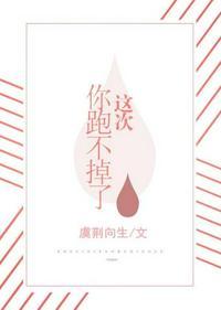 这次我不追了