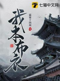 我本布衣全诗原文