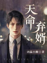 天命神婿全文免费阅读全文