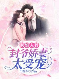 暖婚之封少拐妻