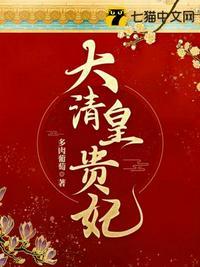 大清皇贵妃TXT书包网