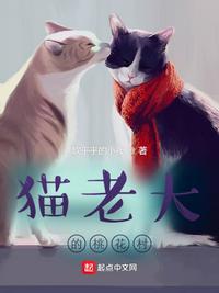 猫老大如何完美达成