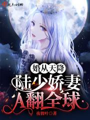 天价妻约陆少强势追妻