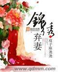 锦绣弃妻锦绣弃妻