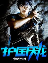 护国天龙 完整版