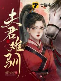 夫君难追