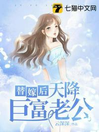替嫁以后全文结局