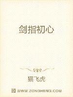 问初心剑